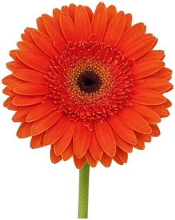 ge ge ge ge ge ge ge ge ge ge ge ge ge ge ge ge ge ge ge ge.jpg